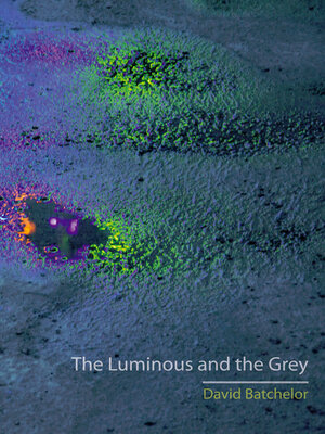 cover image of The Luminous and the Grey